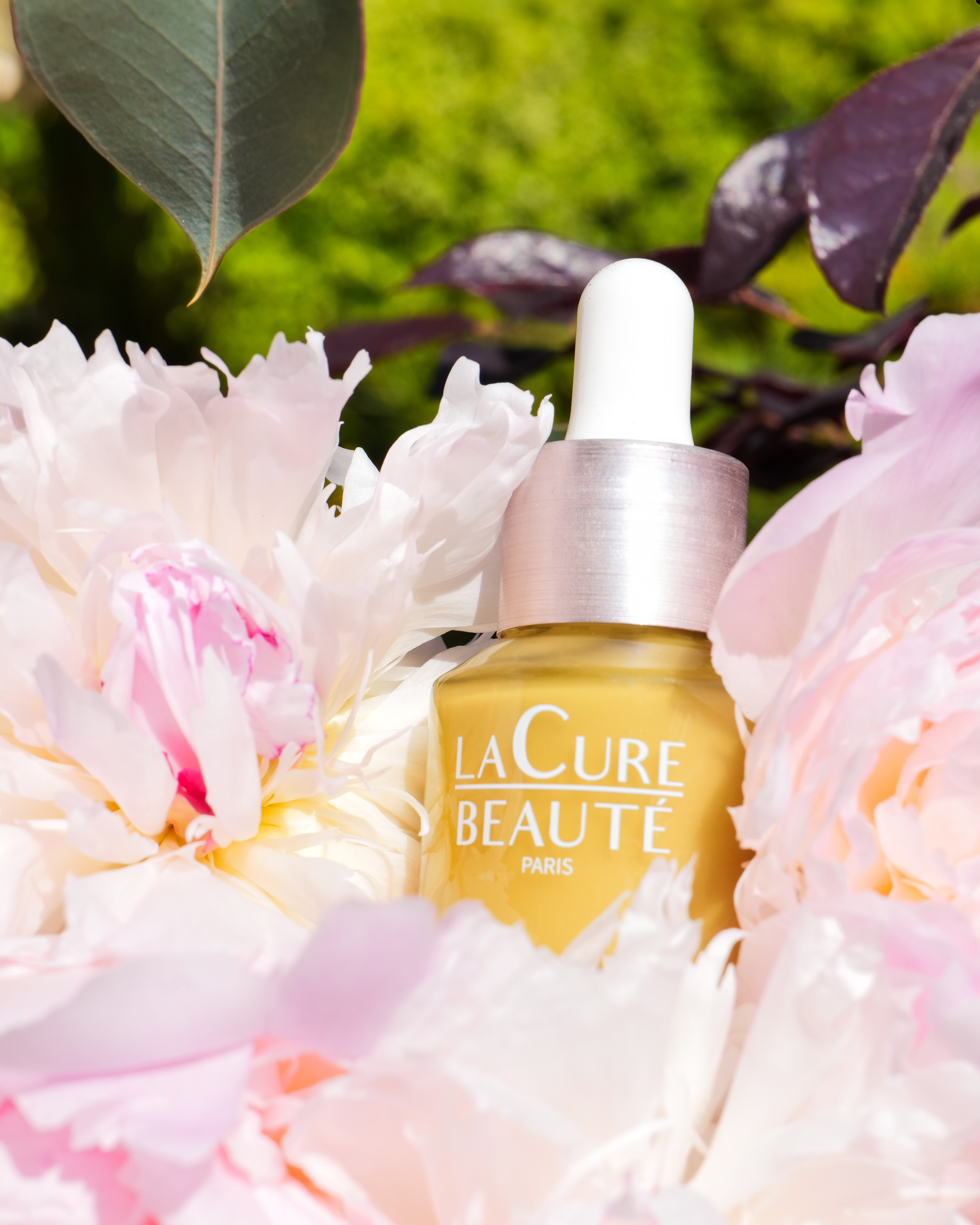 Image de Stage 3ᵉ année Interprestige